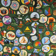 Girl Scouts Fabric